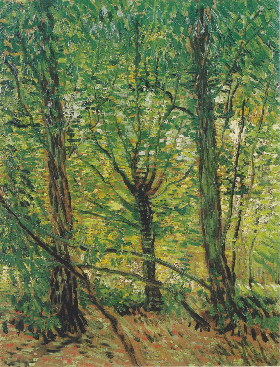 Trær og vekst av Vincent van Gogh
