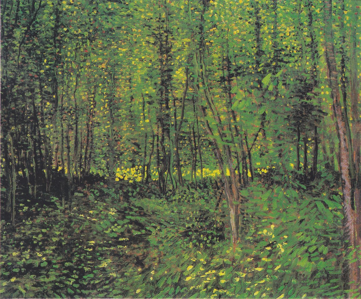 Trær og vekst 2 av Vincent van Gogh