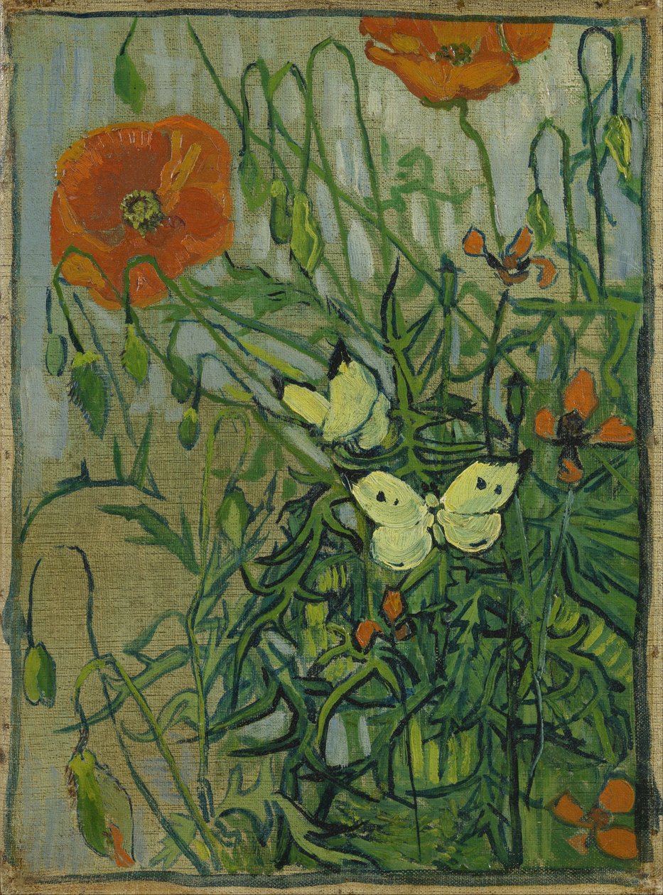 Sommerfugler og valmuer av Vincent van Gogh