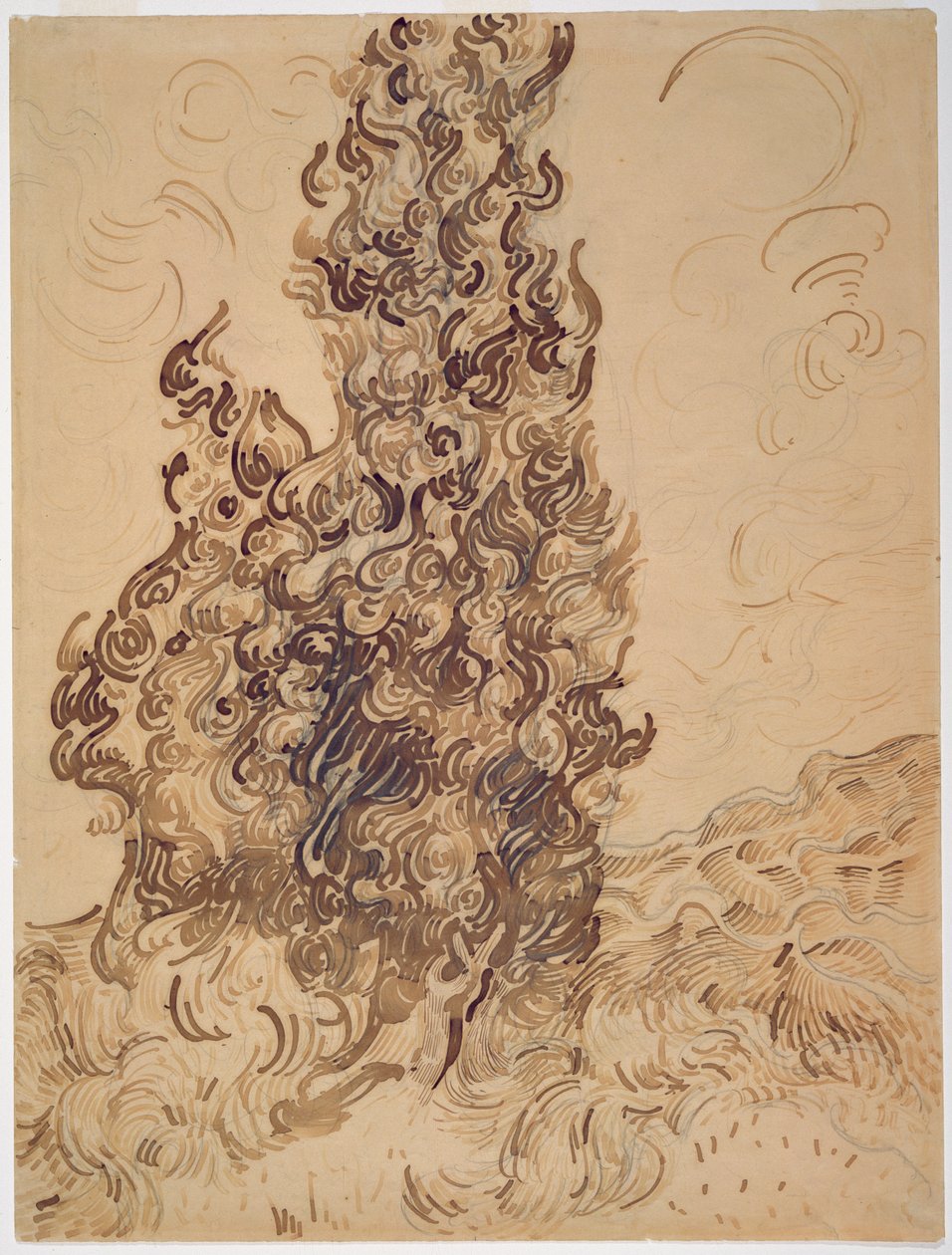 Sypresser, 1889 (rørpenn, grafitt, fjærpenn og brunt og svart blekk på papir) av Vincent van Gogh