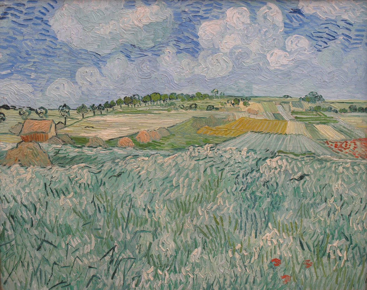 Nivå på Auvers av Vincent van Gogh