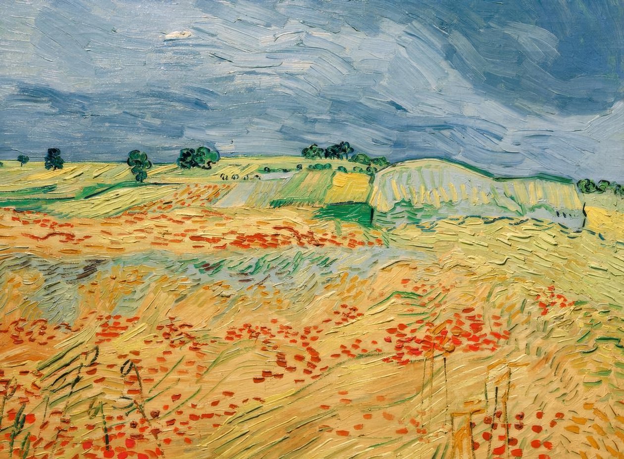 Åker med blomstrende valmuer av Vincent van Gogh
