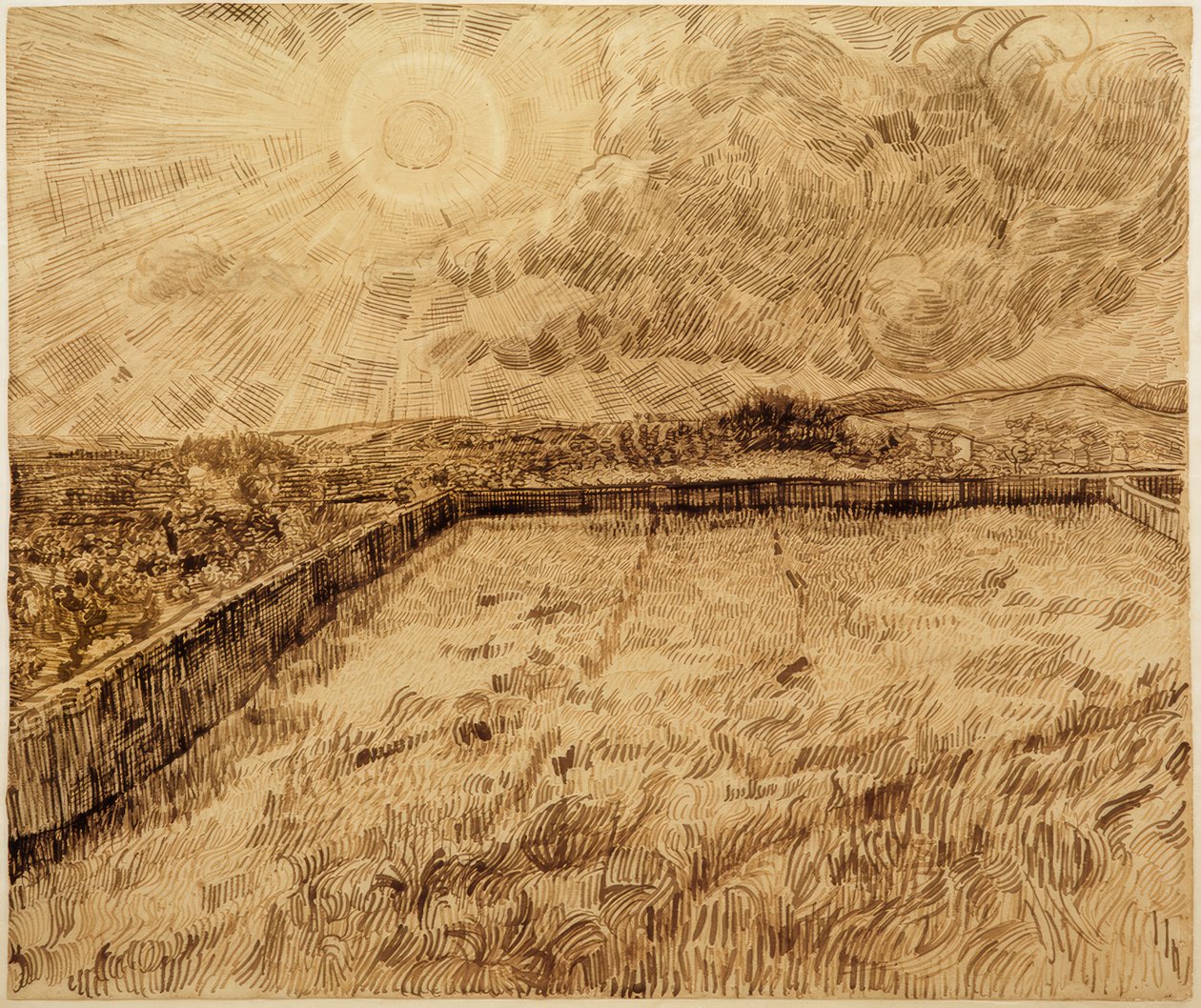 Åkre og oliventrær av Vincent van Gogh