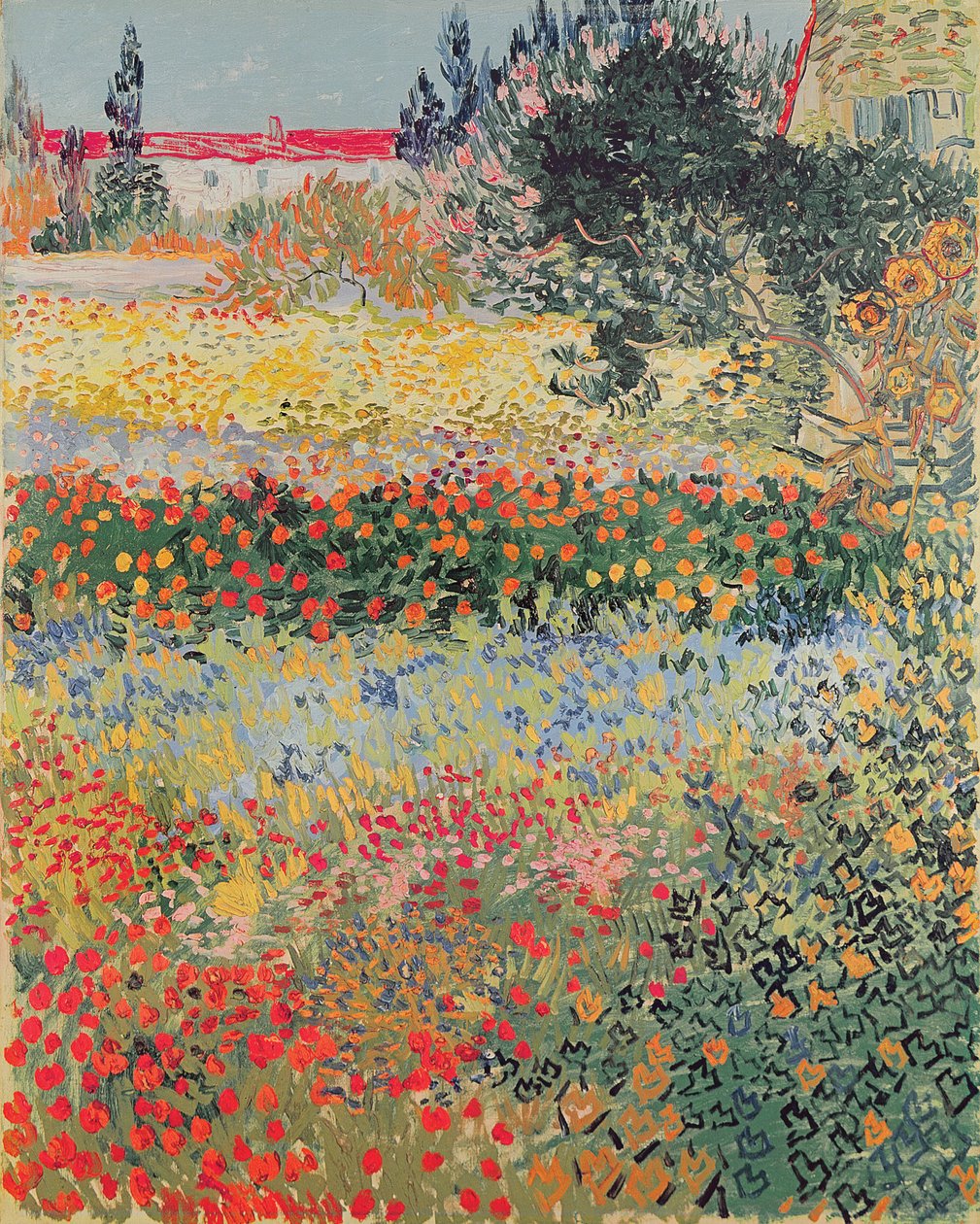 Garden in Bloom, Arles, juli 1888 av Vincent van Gogh