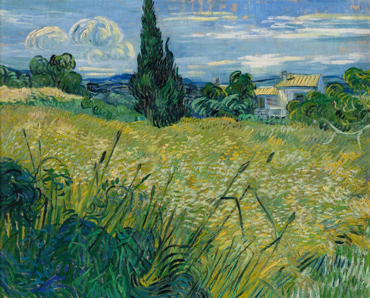 Grønn hvete, 1889 av Vincent van Gogh