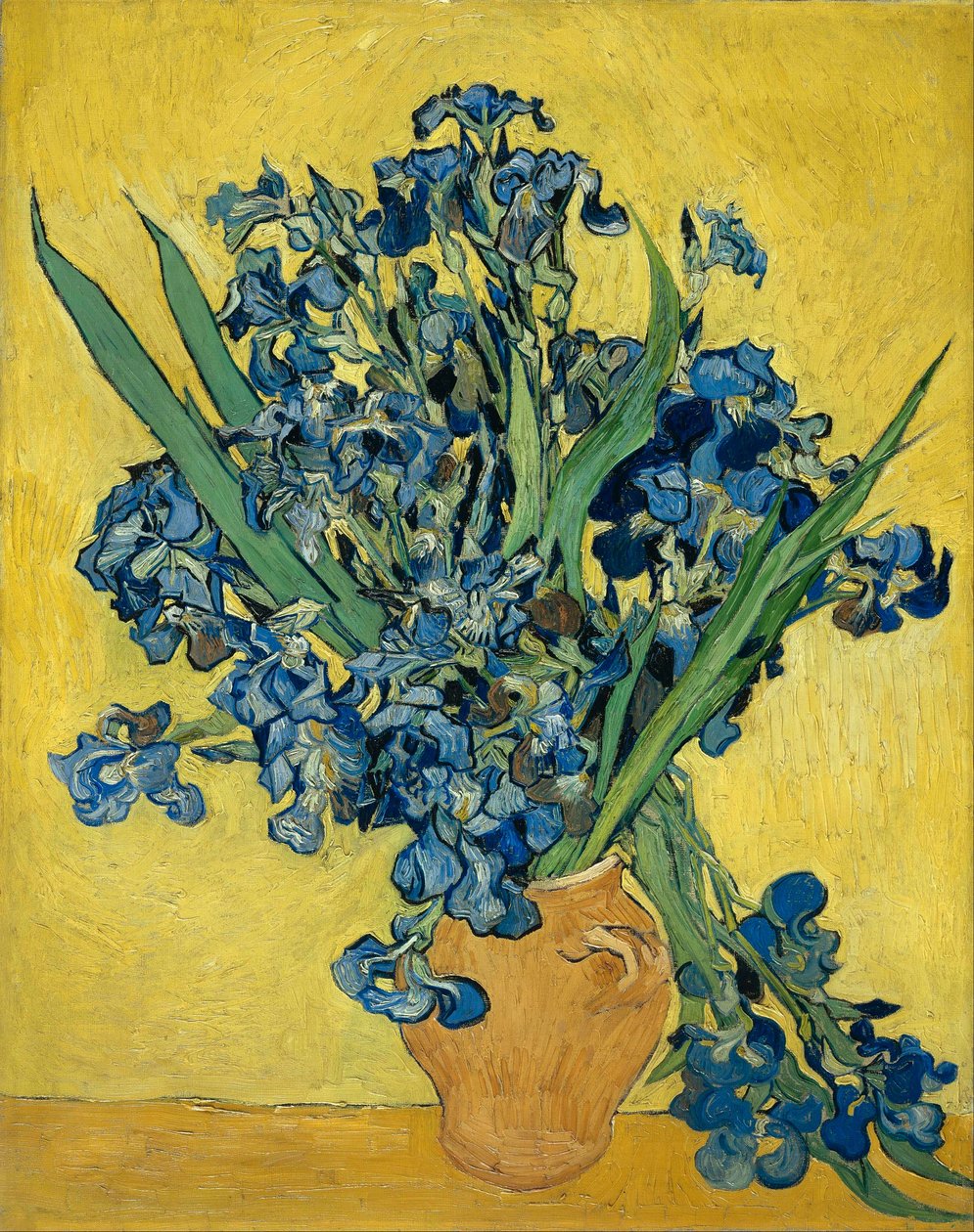 Iriser av Vincent van Gogh