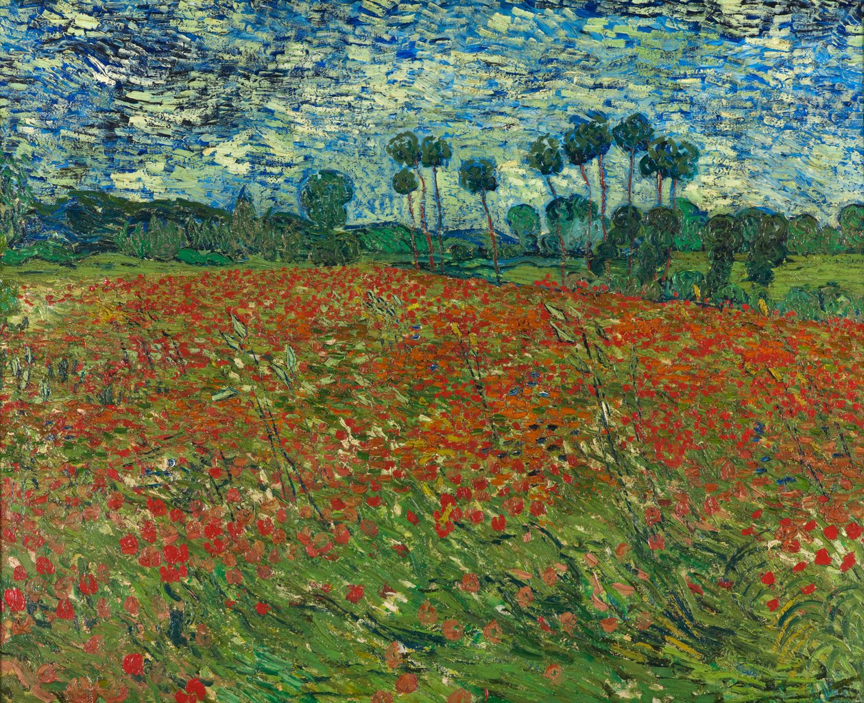 Valmue felt av Vincent van Gogh