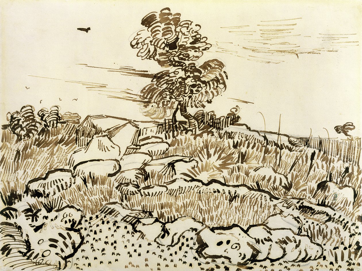 Rocky Ground at Montmajour, 1888-89 (penn, sivpenn og blekk på papir) av Vincent van Gogh