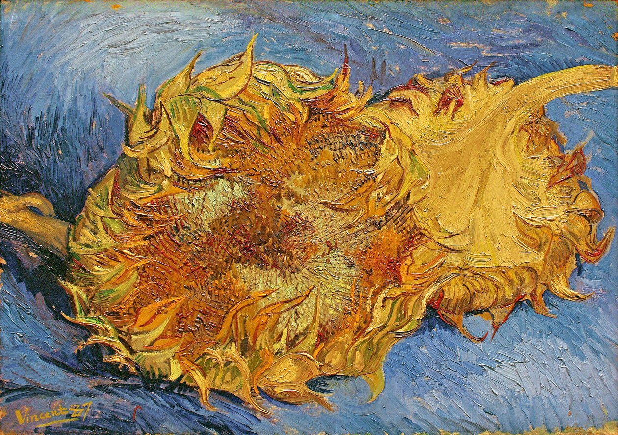 To kutte solsikker av Vincent van Gogh