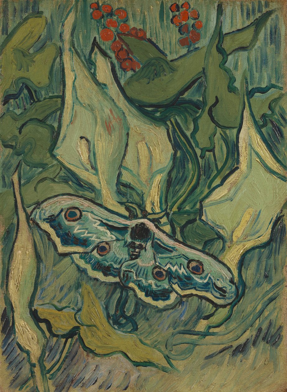 Skull hawkers på arum av Vincent van Gogh