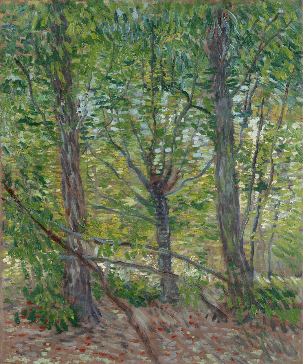 Trær av Vincent van Gogh
