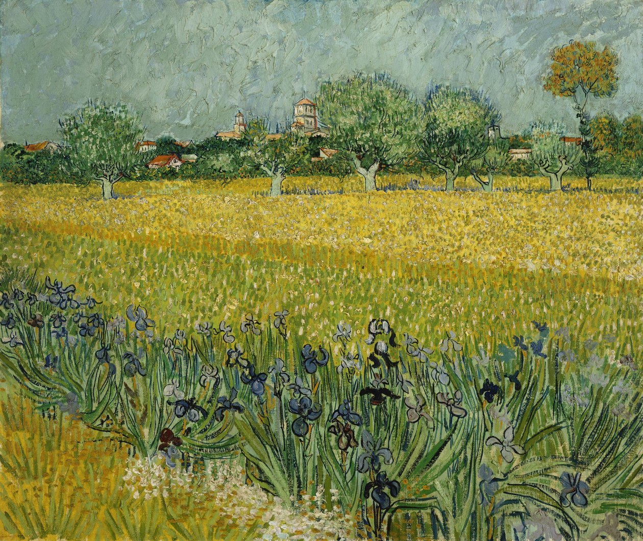 Blomsterfelt nær Arles av Vincent van Gogh