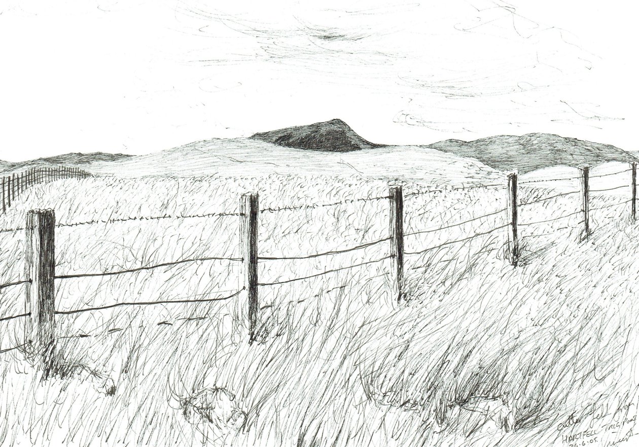 Culter Fell fra Hartfell, 2005 av Vincent Alexander Booth