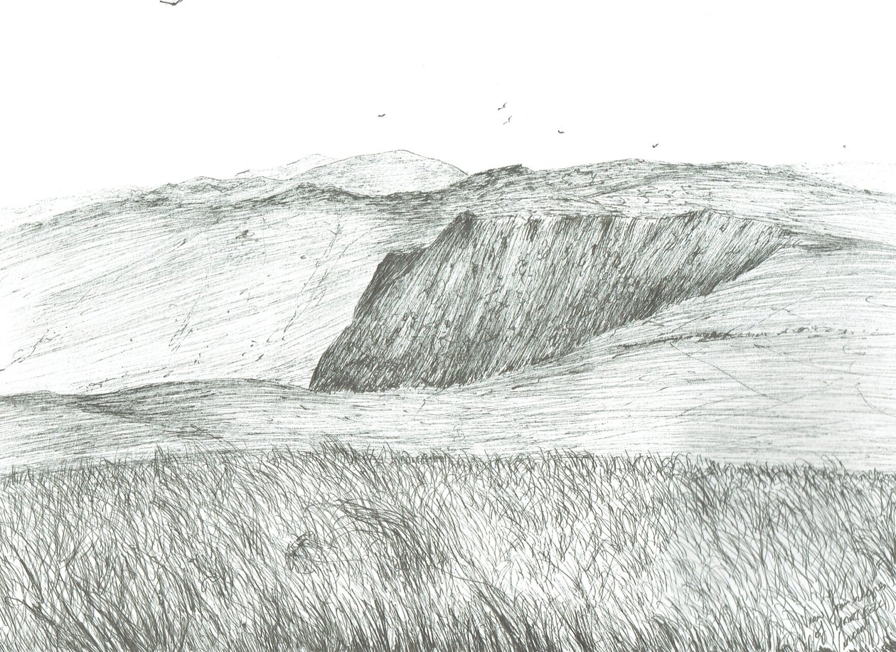 Slopes of Hartfell, 2003 av Vincent Alexander Booth