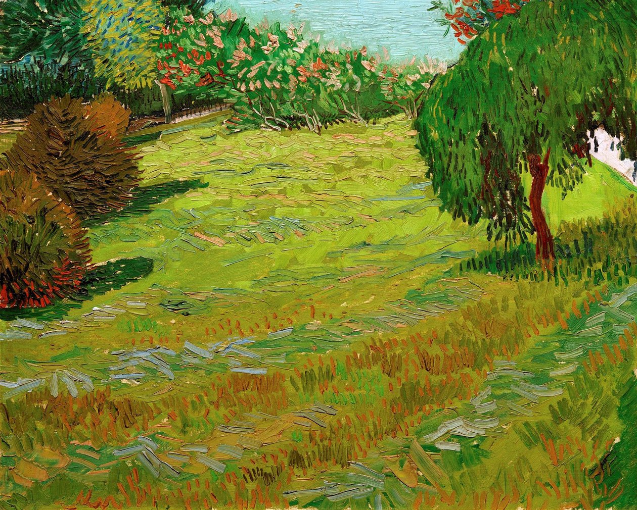 Hage med gråtepil, 1888. av Vincent van Gogh