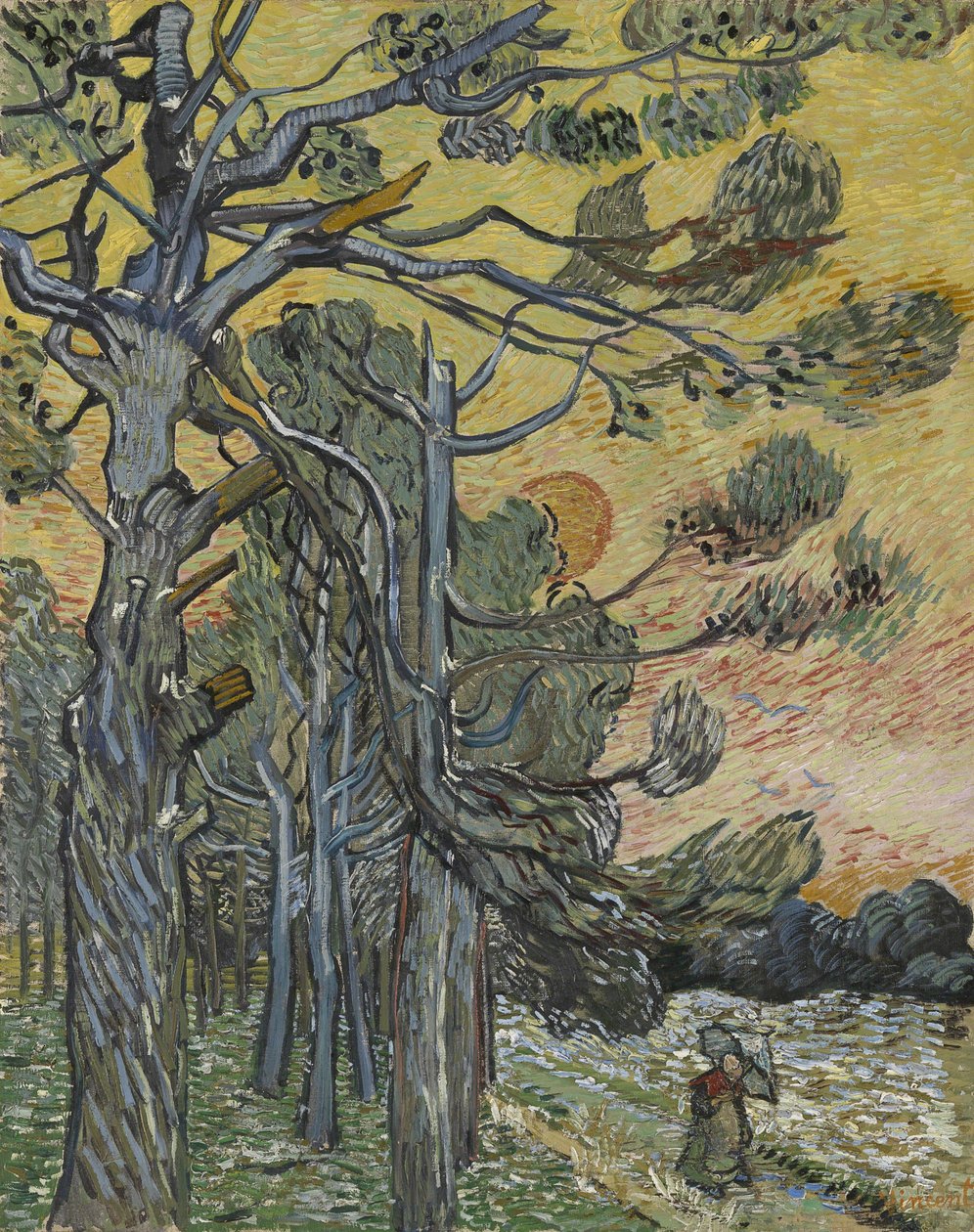 Furutrær ved solnedgang, 1889. av Vincent van Gogh