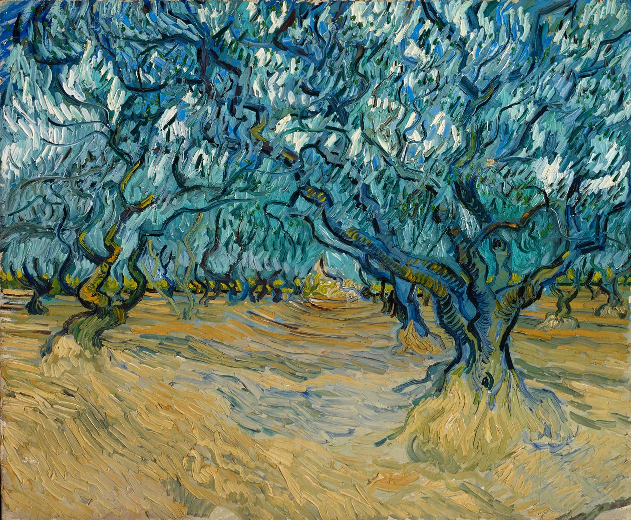 Olivenlunden, Saint-Rémy, 1889. av Vincent van Gogh