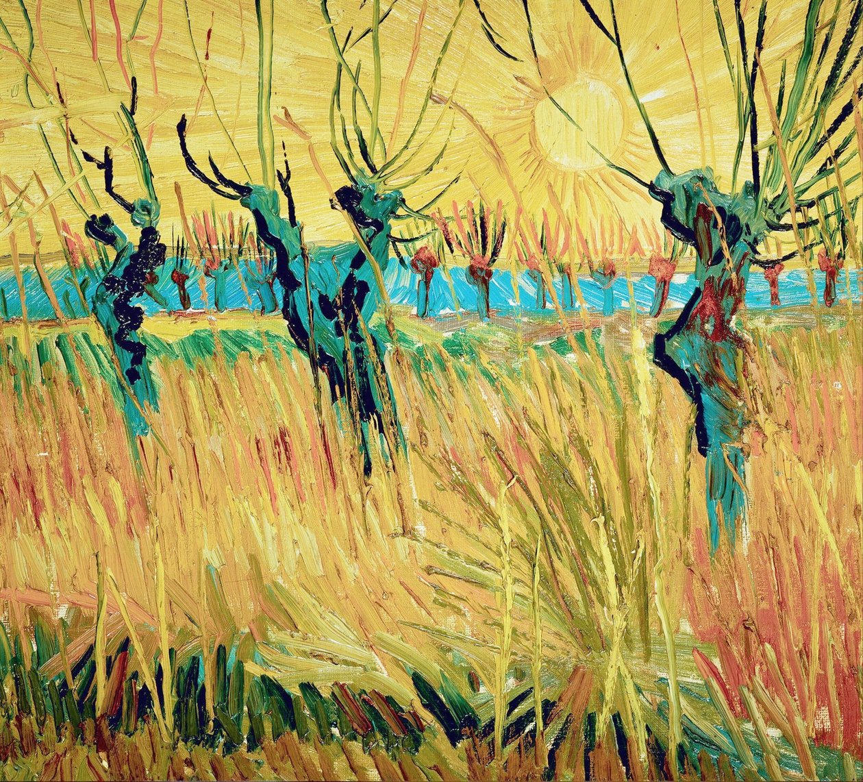 Willows ved solnedgang, 1888. av Vincent van Gogh