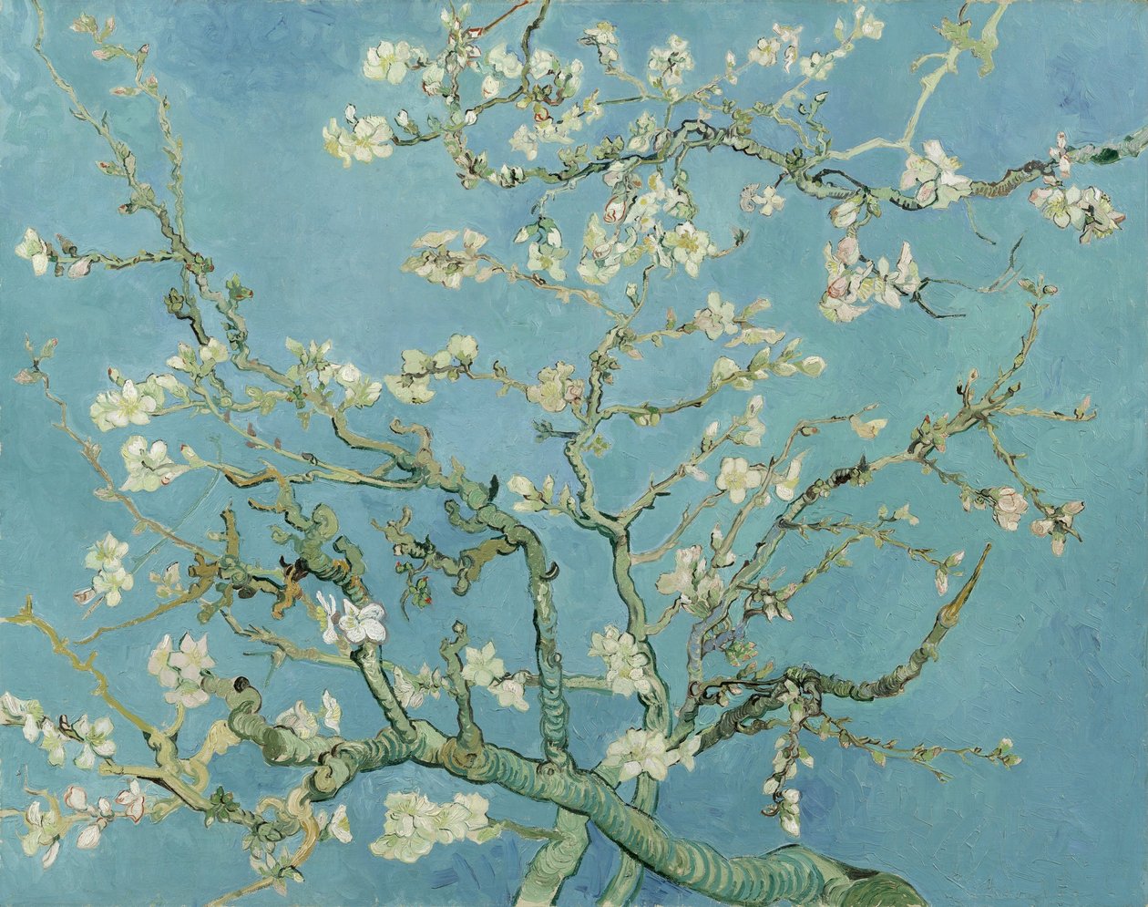 Mandelblomst av Vincent van Gogh