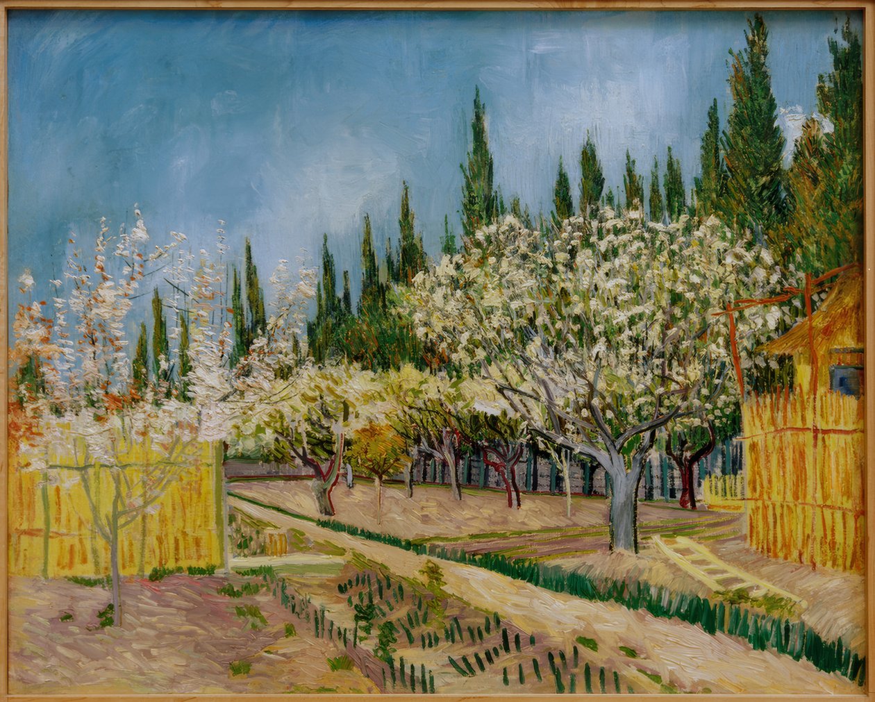 Blomstrende frukthage omgitt av sypresser av Vincent van Gogh