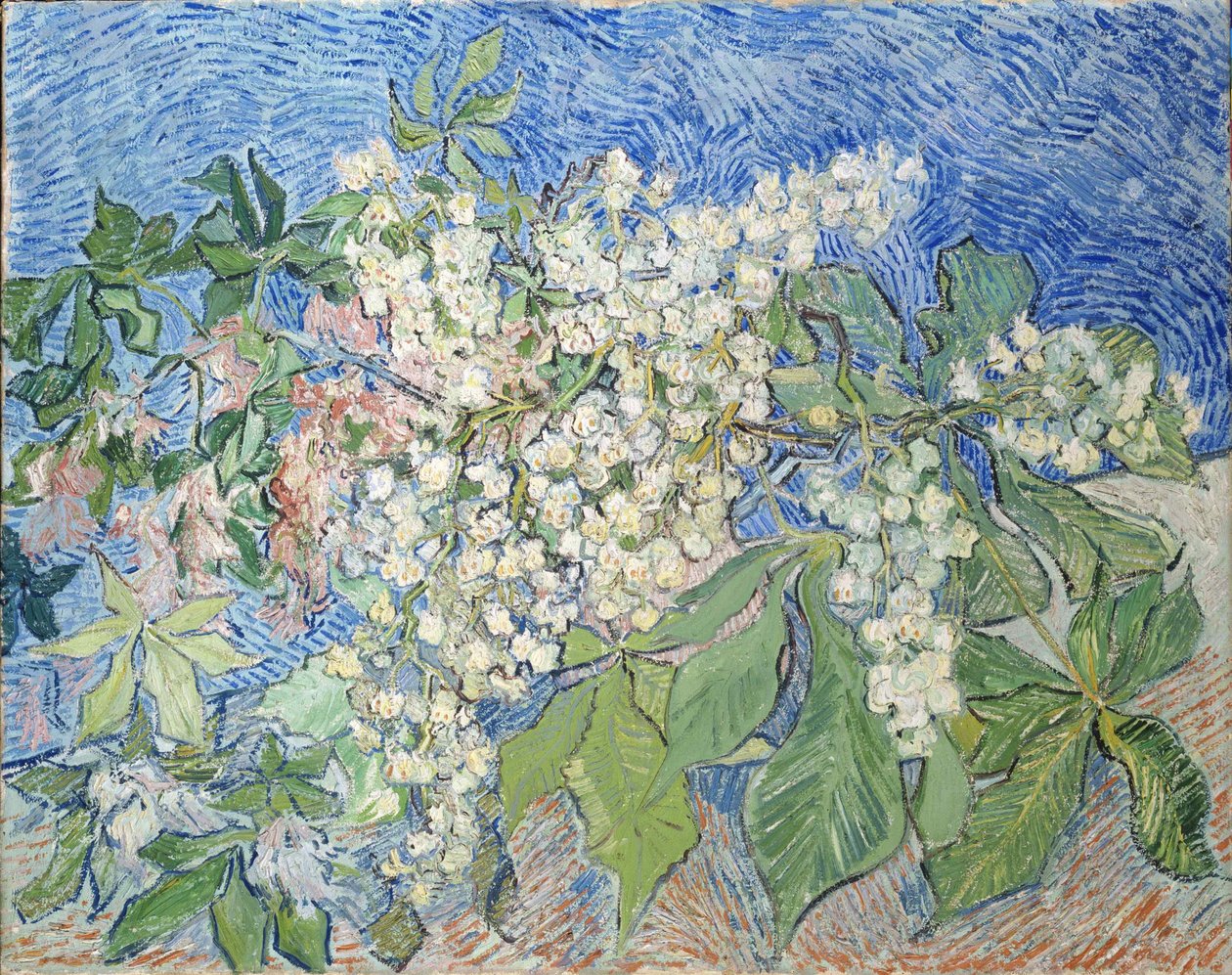 Grener av kastanjetrær i blomst, 1890. av Vincent van Gogh