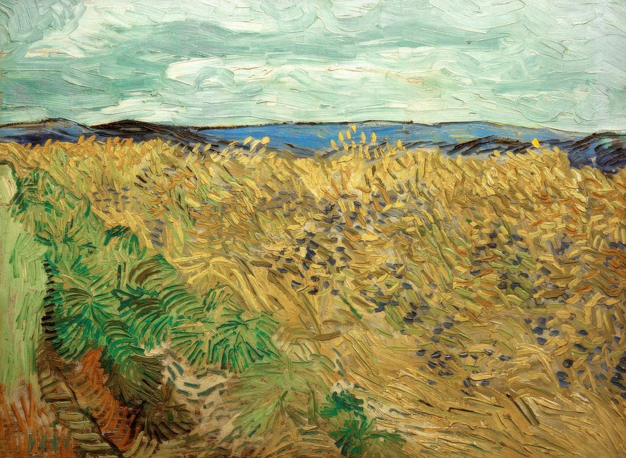 Åker med kornblomster av Vincent van Gogh