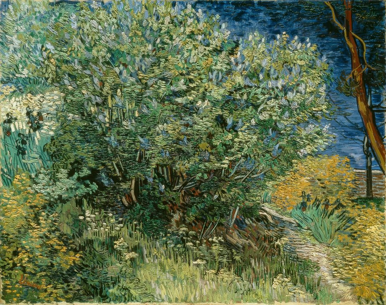 Syrinbusk av Vincent van Gogh