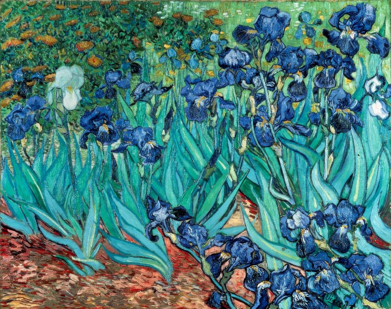 Iris (Iris) av Vincent van Gogh