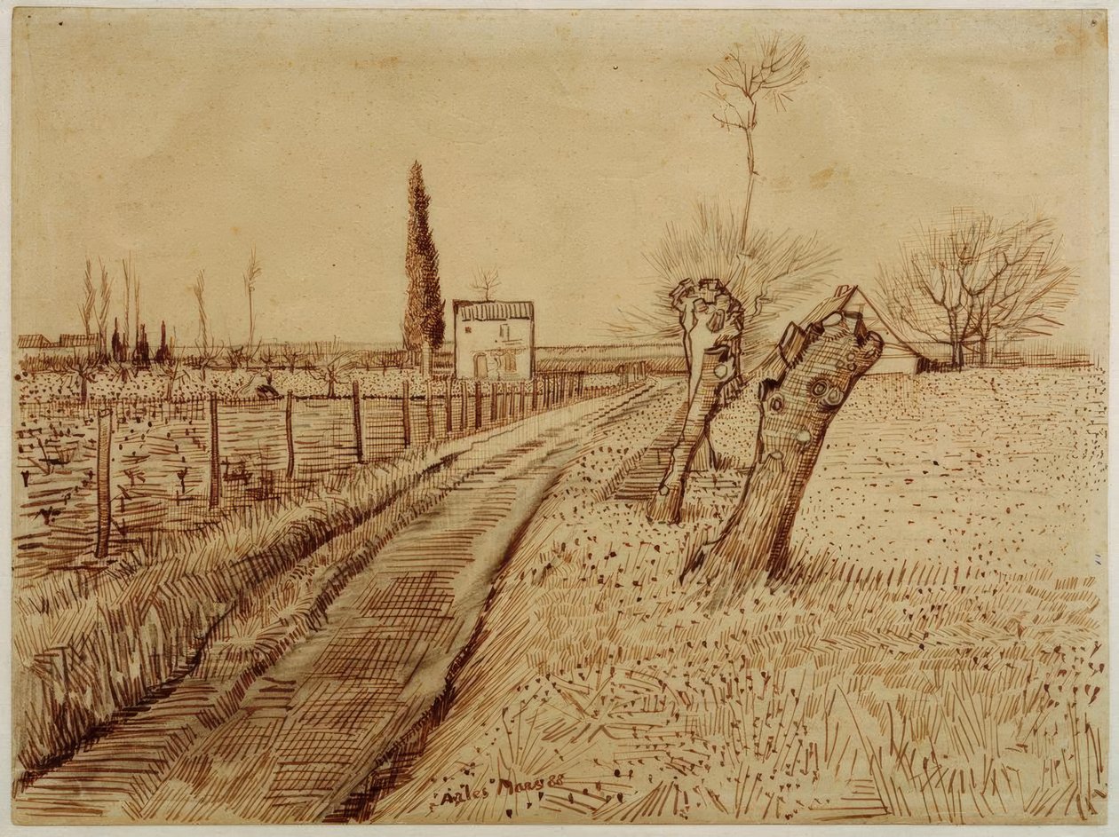 Landskap med sti og forurensede vier av Vincent van Gogh