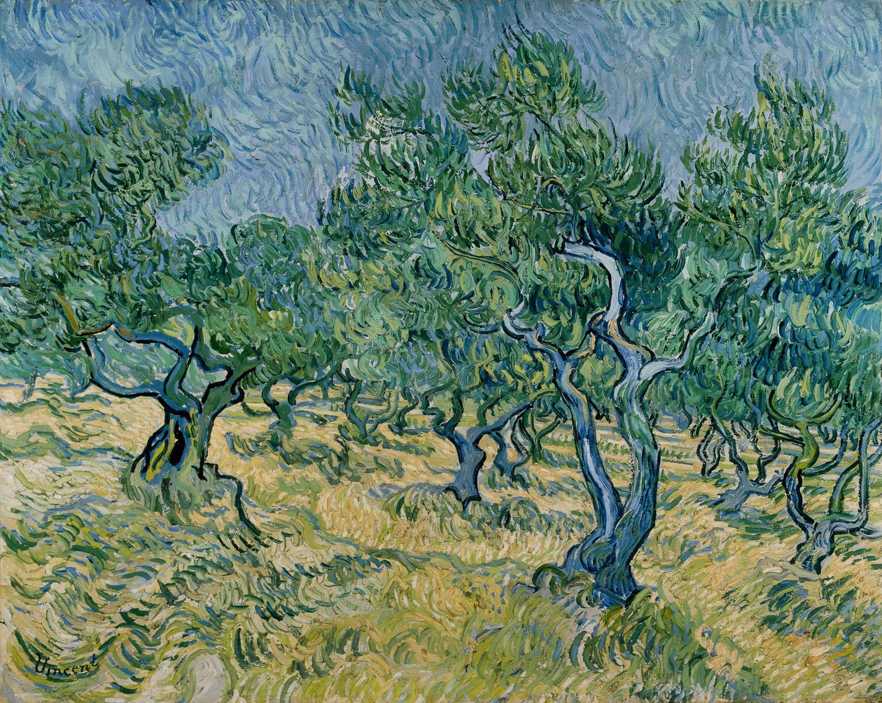 olivenlund av Vincent van Gogh