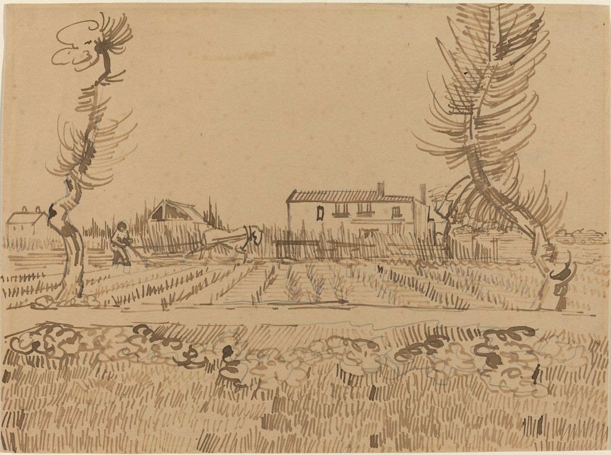 Ploughman in the Fields nær Arles av Vincent van Gogh