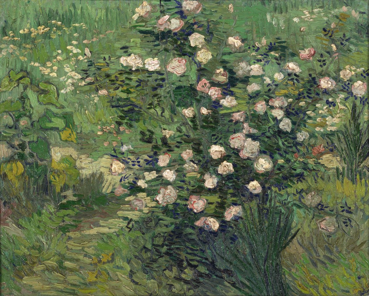 Roser, 1889 av Vincent van Gogh
