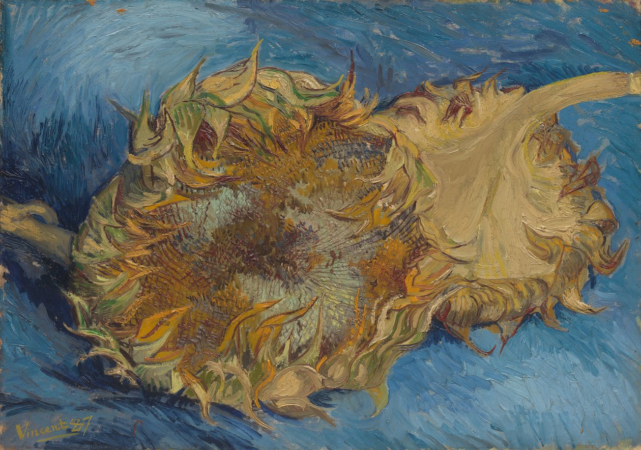 Solsikker, 1887. av Vincent van Gogh