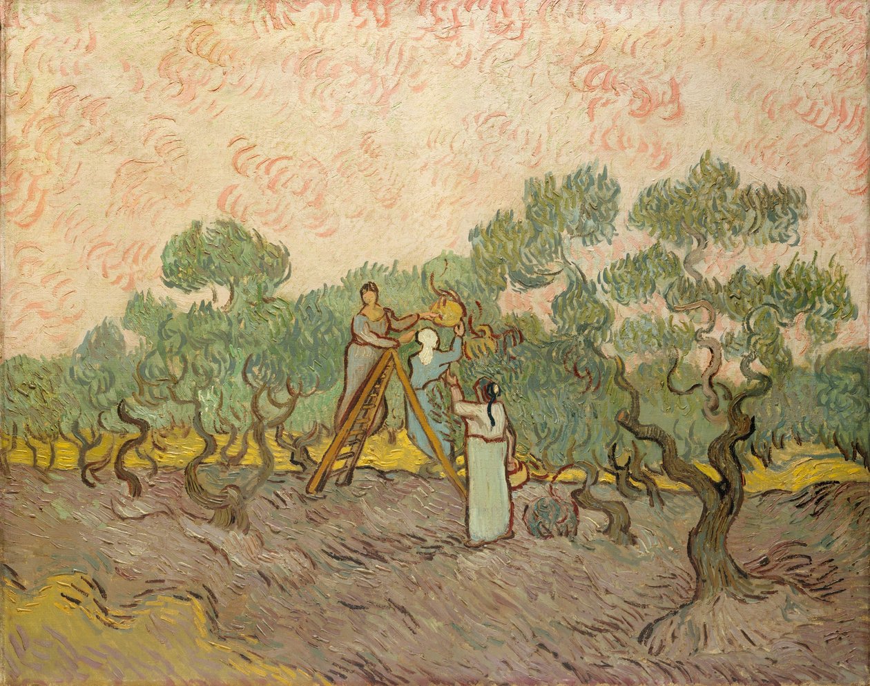 Olivenplukkerne, Saint-Remy av Vincent van Gogh