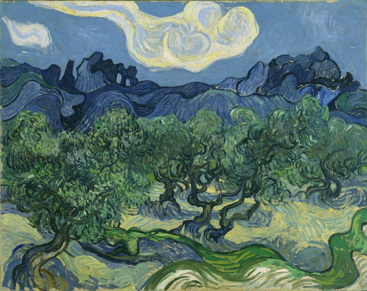 Oliventrærne av Vincent van Gogh