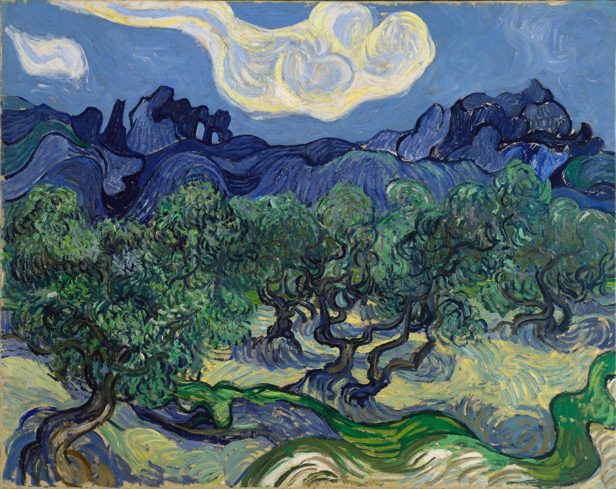 Oliventrærne av Vincent van Gogh