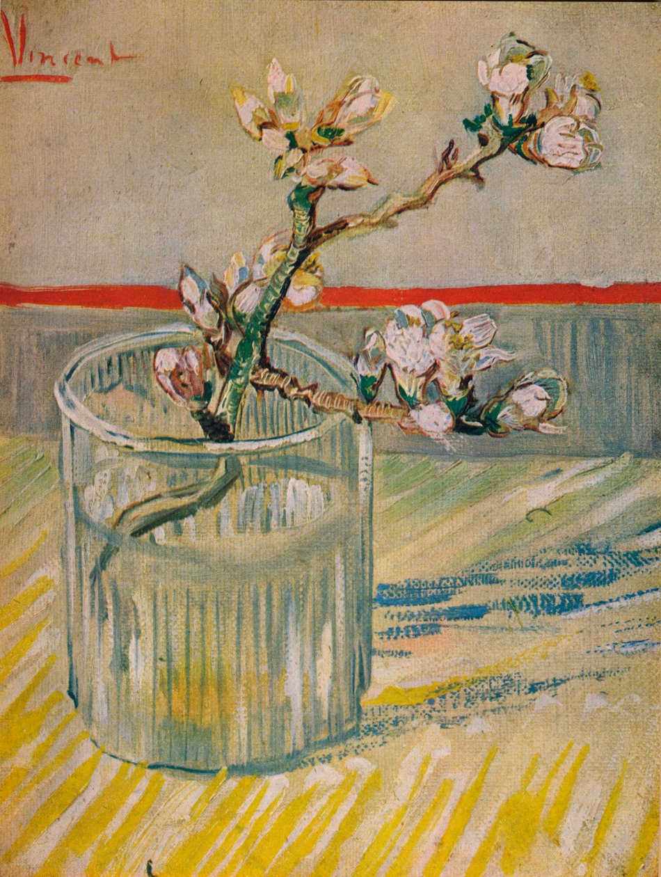 Mandelblomstrende stengel, 1888 av Vincent van Gogh