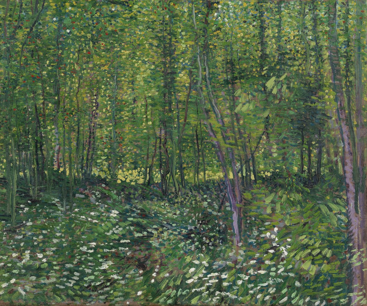 Trær og underskog, 1887 av Vincent van Gogh