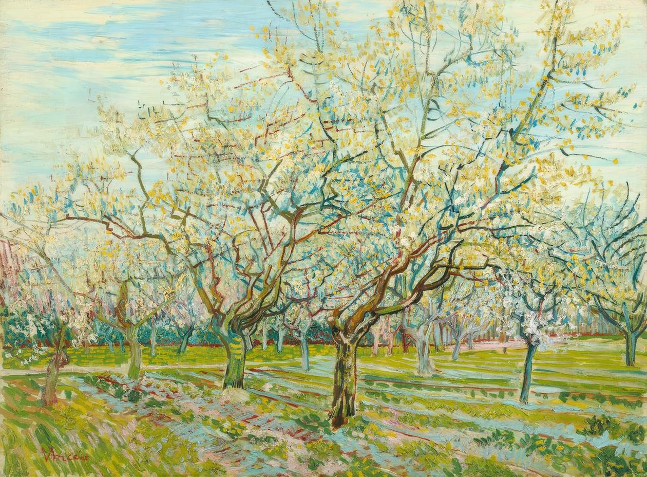 V. van Gogh, Den hvite frukthagen av Vincent van Gogh