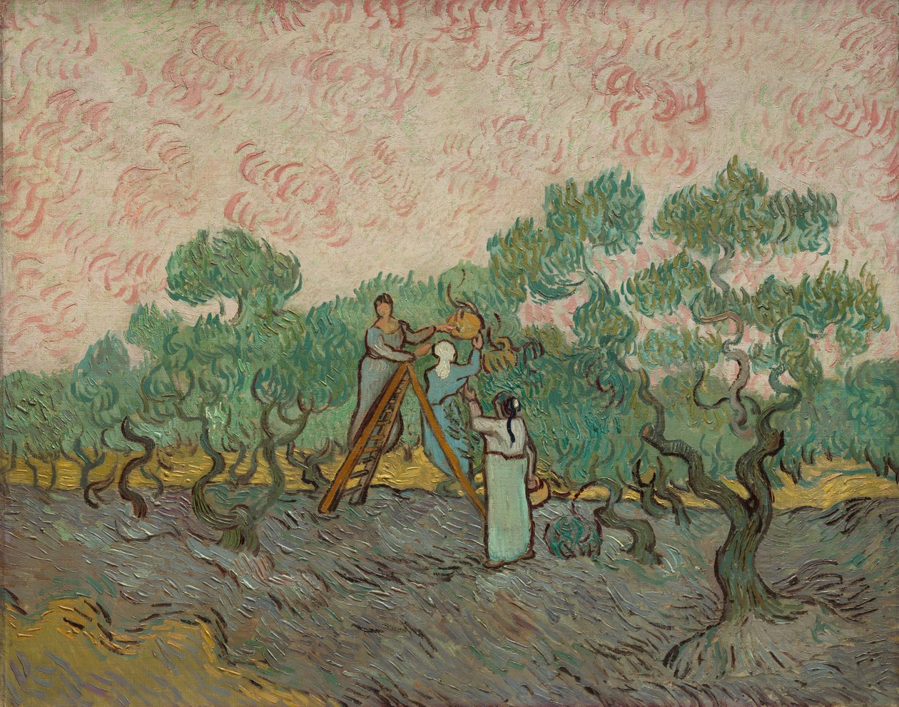 Kvinner plukker oliven, 1889. av Vincent van Gogh
