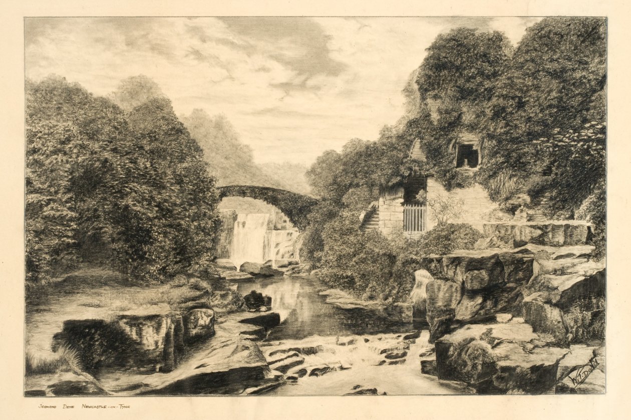 Jesmond Dene (kritt og blyant på papir) av W.T. Dodd