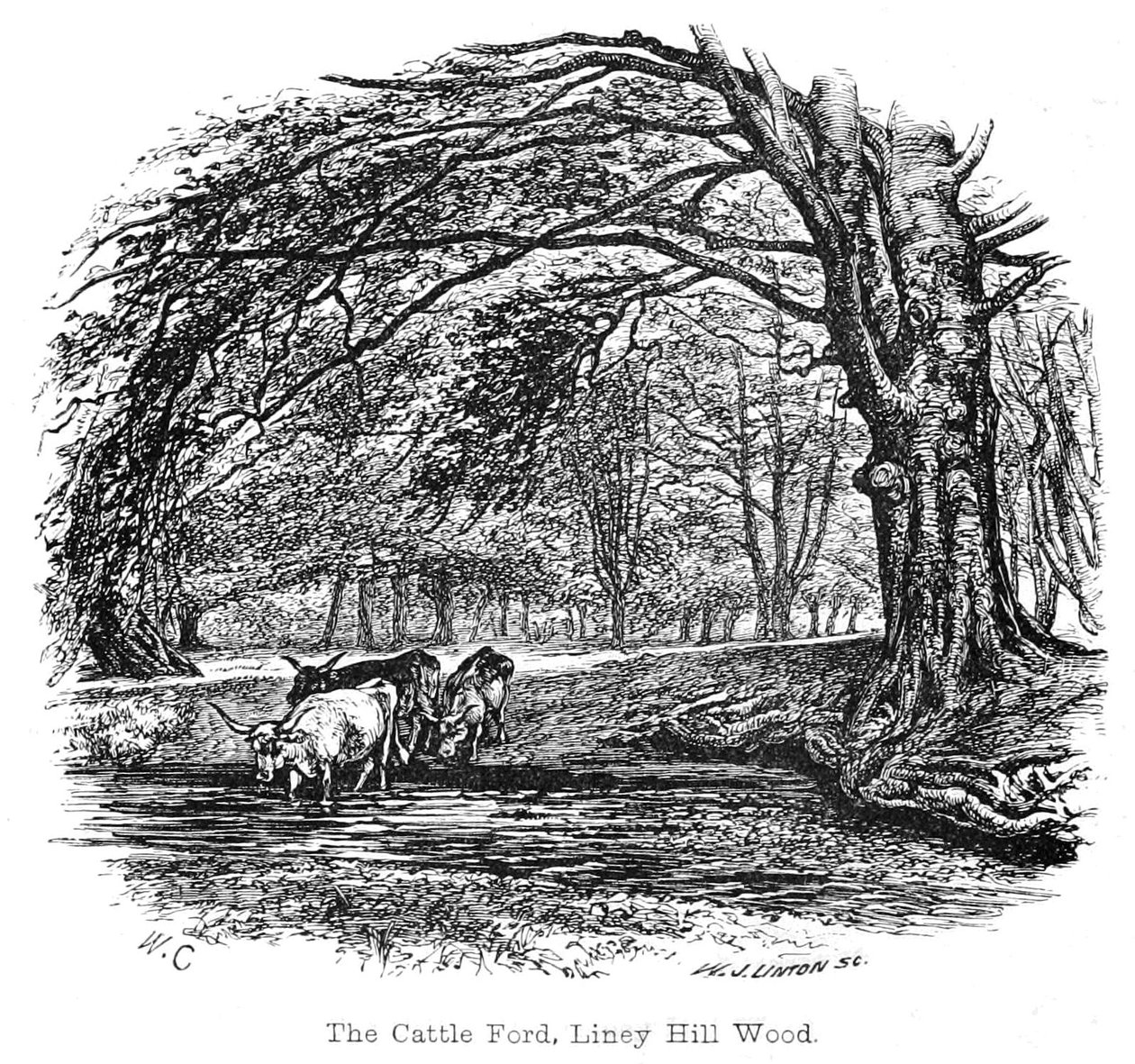 The Cattle Ford, Liney Hill Wood av Walter Crane