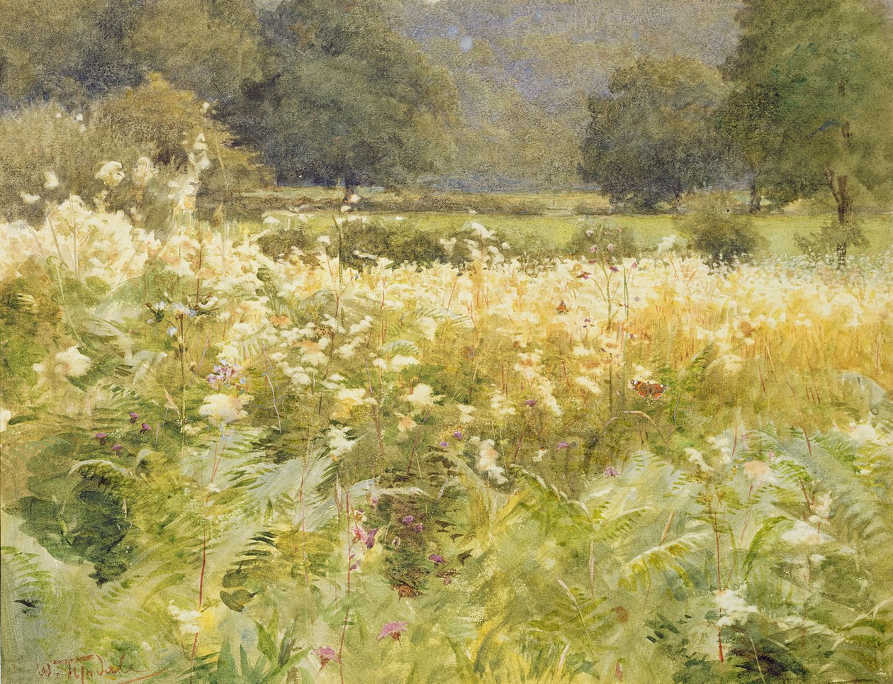 Meadowsweet (wc på papir) av Walter Frederick Roofe Tyndale