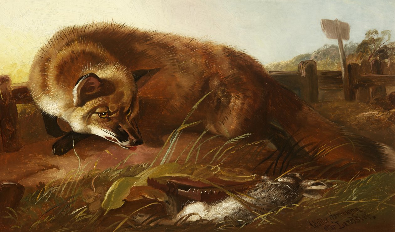 Fox, ca. 1880 av Walter Harrowing