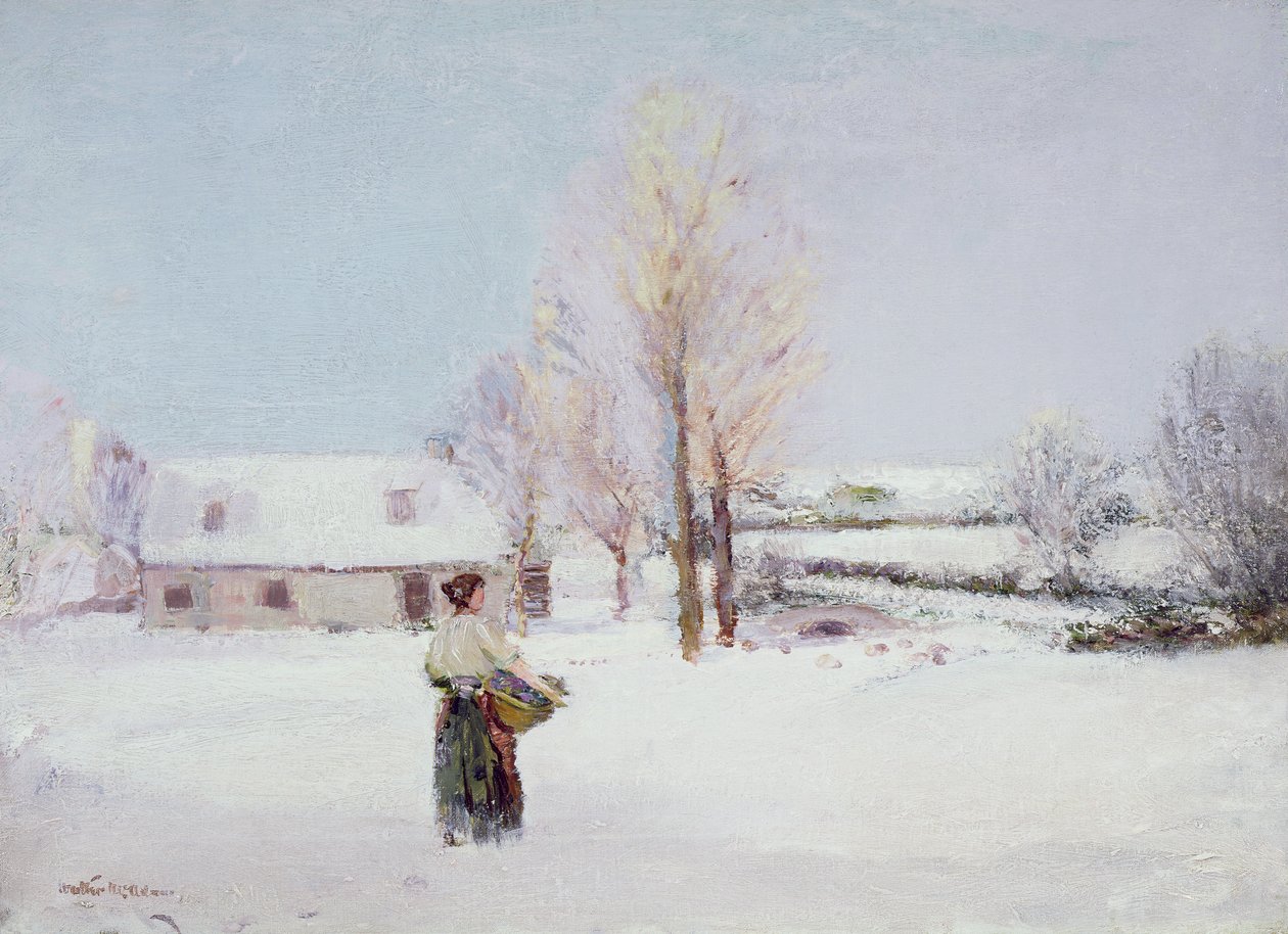 Gå gjennom snøen av Walter McAdam