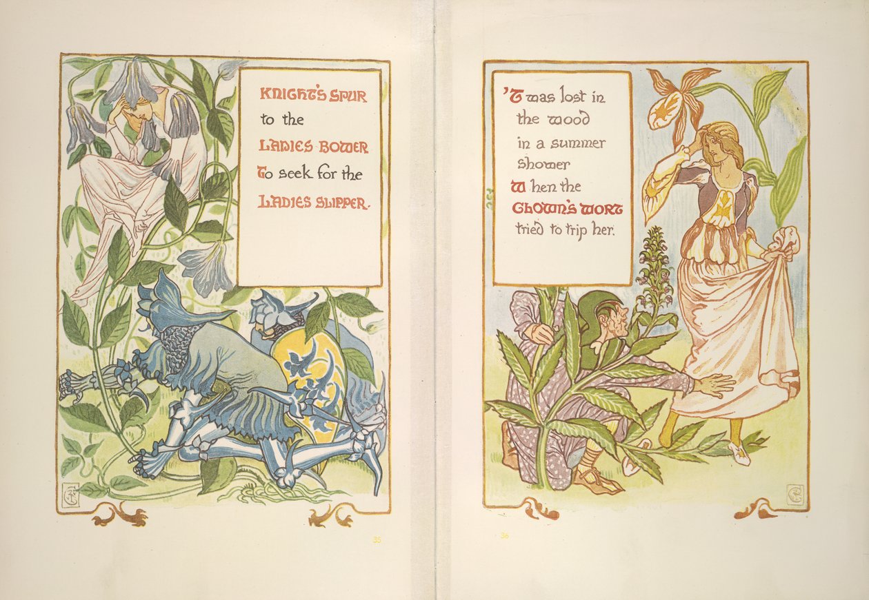 Ridderspore og klovneurt av Walter Crane
