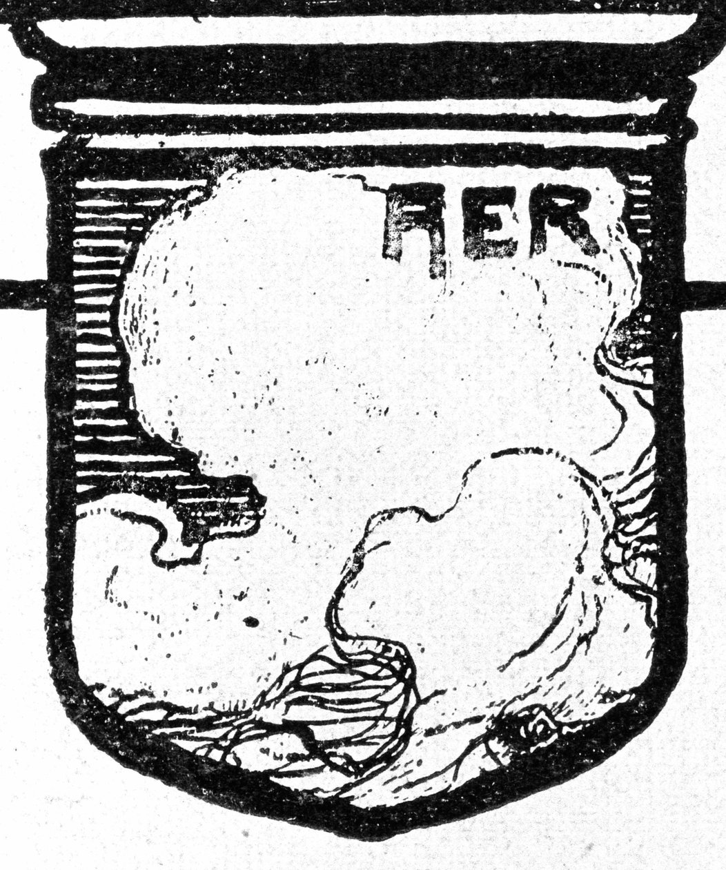  av Walter Puttner