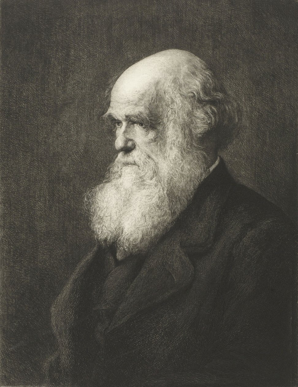Charles Robert Darwin (gravering) av Walter William (after) Ouless
