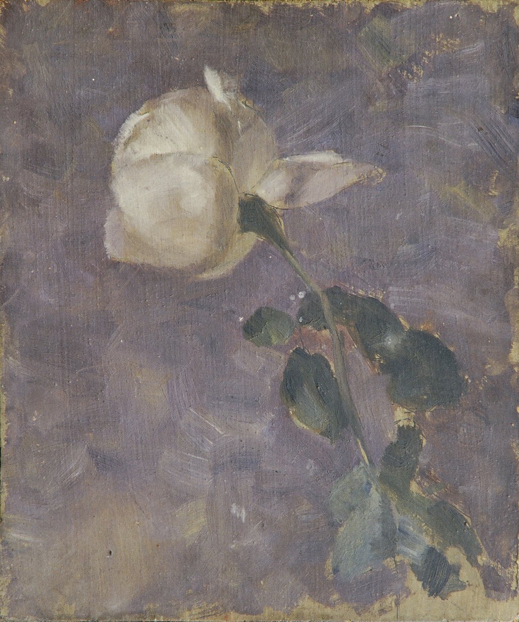 Rose av Walther Gamerith