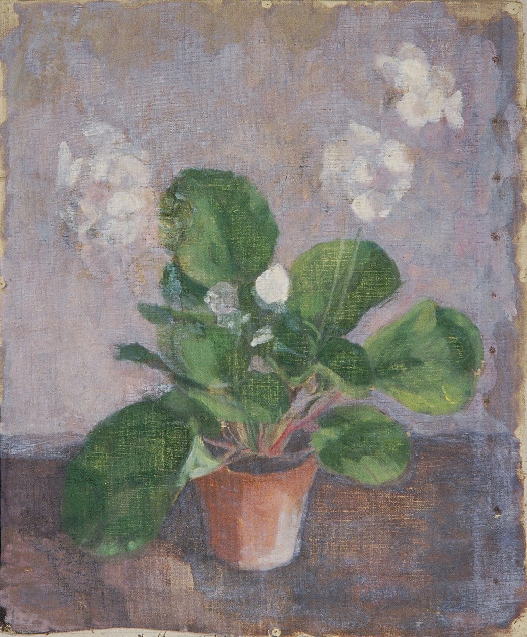 Stilleben med blomsterpotte av Walther Gamerith